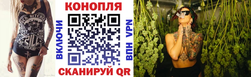 Псилоцибиновые грибы Всеволожск