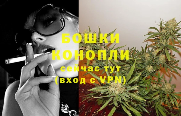 крисы Аркадак