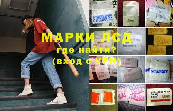 крисы Аркадак