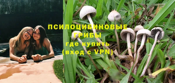 винт Арсеньев