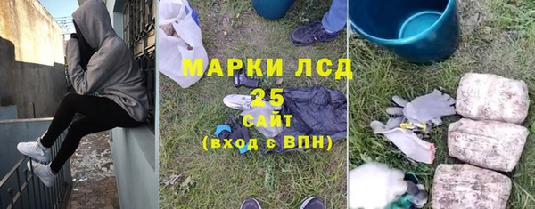 крисы Аркадак
